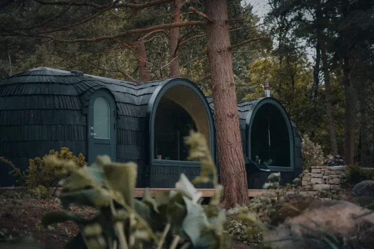 being for fueling your mind: how nutrition affects mental health [2025]