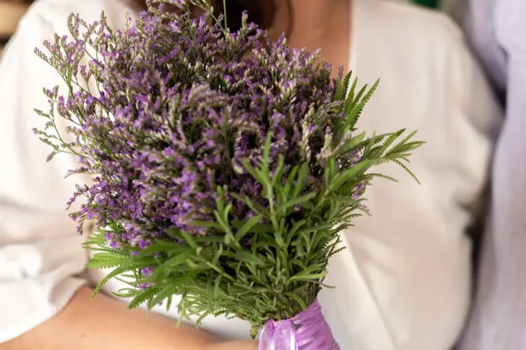 benefits lavender oil for essential oils vs. cbd for relaxation: which reigns supreme?