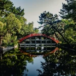 besides for finding calm: exploring calming natural herbs besides cbd [2025]