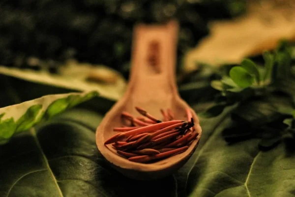 best herbs spices digestion for unlock digestive bliss: best herbs and spices for digestion [2025]