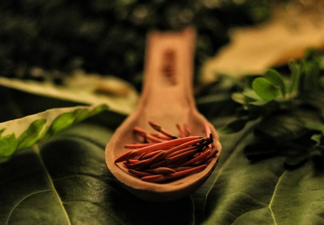 best herbs spices digestion for unlock digestive bliss: best herbs and spices for digestion [2025]