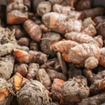 immune for boost your immunity: delicious immune-boosting smoothies recipes [2025]