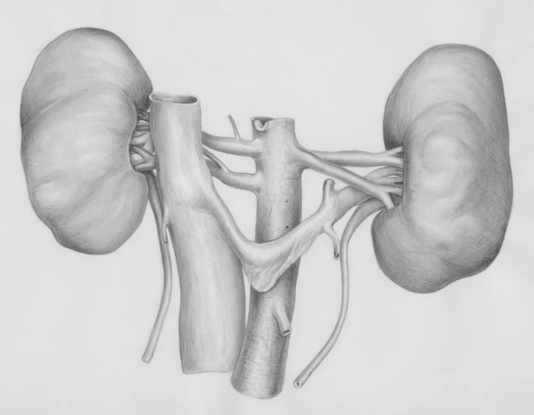 kidney cleanse for unlock your vitality: healthy ways to detox your body [2025]