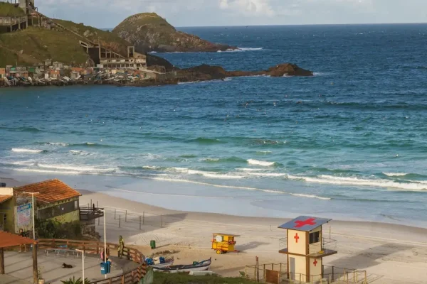 living for unlocking wellness: how to reduce exposure to toxins [2025]