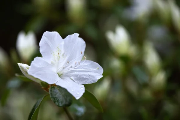 purification for detox your home [guide]: how to create a healthier living space