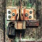 unlock for unlock vibrant health: daily habits for a natural lifestyle [2025]