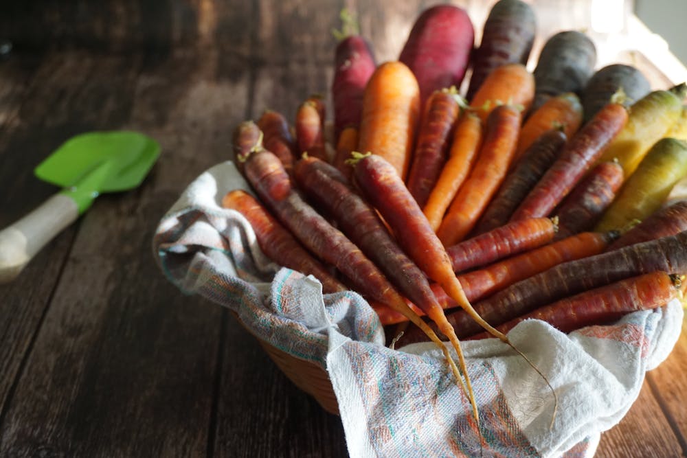 Understanding Food Allergies and Intolerances: Common Culprits and Symptoms